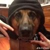 danyspam24
