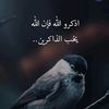 user1021380000004