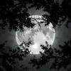 egor_qemplo