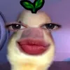 recosby.mai