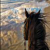 hadil.almesbahi