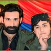 gm_asif7616