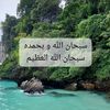 walaa.m.zain