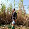 zae_sinyal