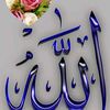 user426878247