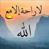 user51161505946863