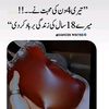 jani.kamran7