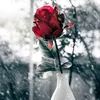 jano25581