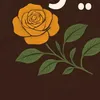 my.books15