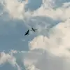 flyhrznim