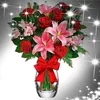 florpomayayyarang