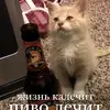 matpackw