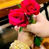 user8247252818304