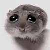 anhyeuuem27