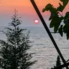 fred_newman2