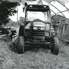 willafri_12