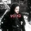vfx.voixd