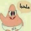 user4993611083