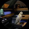 o._v.8.5