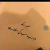ayshkhalil1167
