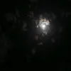 marwa123620