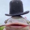 mr.fishy401