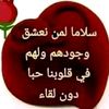user29686867958478