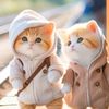 raja.atif662