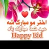a.haiderkhel