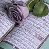 user2923913387680