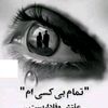 user6986110243247