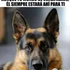 rubengallardo387