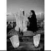 lamismahmood3