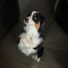 mckenny_william