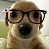chiwuiz5