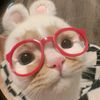 nuy.waree