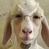 quemdisseiss07