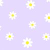 salra_333