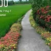 user924753241