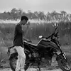 bibbu04