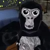 pedro_vr39p