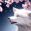 nova_arc4