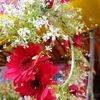 user968019874