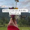 miu.miu8864