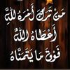 user7461184497886