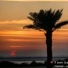 hamed_0707