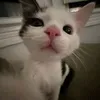 notikk6