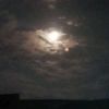 .lovelymoon8