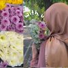 ichaaaayuu29