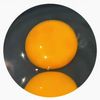 user5577072496001